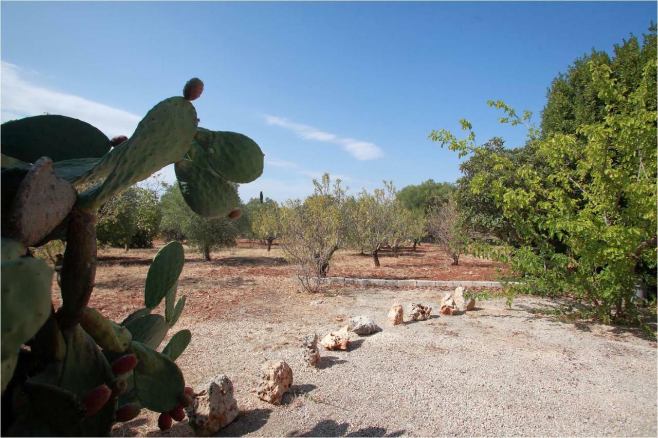 Trullo Riccardo Villa Ostuni Eksteriør billede